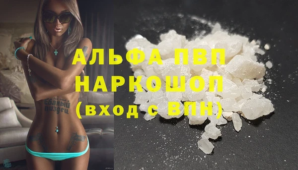 крисы Баксан