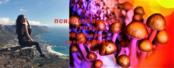 эйфоретик Балахна